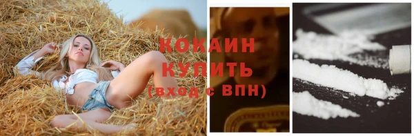 соль ск Алексеевка
