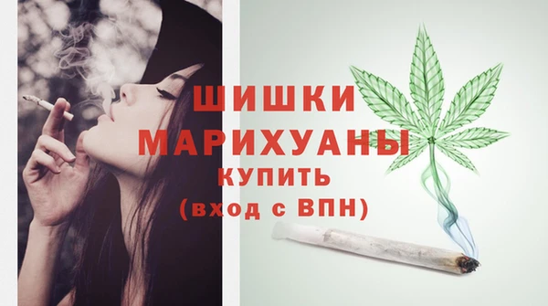 дмт Новодвинск