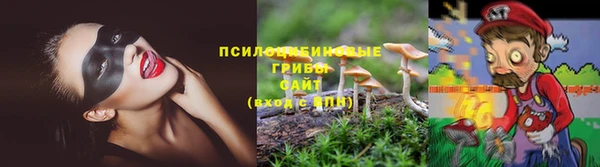 скорость Алексин